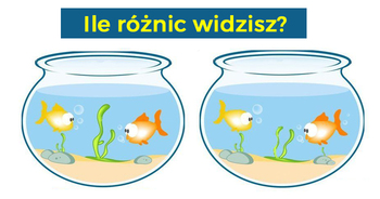 ile-roznic-widzisz-w-akwarium
